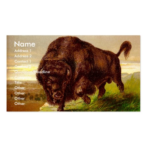 American Bison Business Cards (front side)