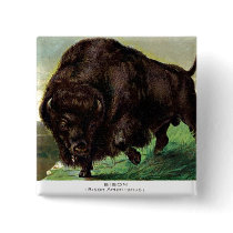 American Bison buttons by mosswood American Bison buttons