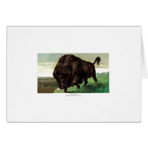 American Bison Greeting Cards