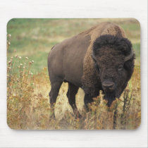 American Bison Computer Mousepad