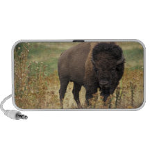 American Bison Doodle Speaker