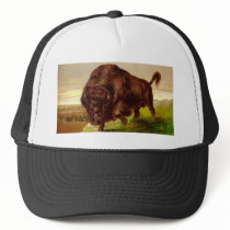 American Bison Hats
