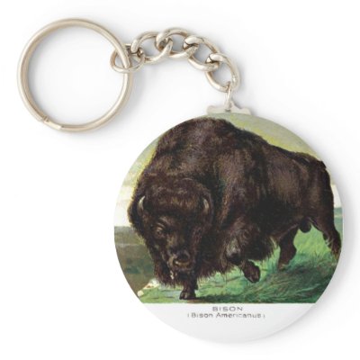 American Bison Keychains by mosswood