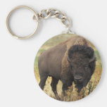 American Bison Keychain