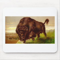 American Bison Mouse Pads