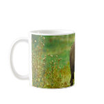 American Bison Mugs