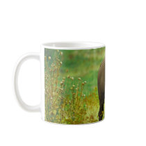 American Bison Mugs