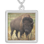 American Bison Necklace