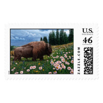 American Bison - "No Time For Flowers" postage