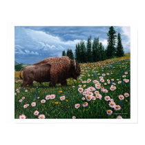 American Bison - "No Time For Flowers" posters