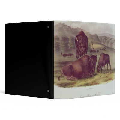 American Bison or Buffalo Binder by bridgemanart