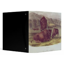 American Bison or Buffalo Binder