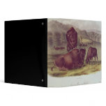American Bison or Buffalo Binder