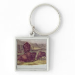 American Bison or Buffalo Keychain
