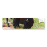 American Bison Painting Bumper Sticker