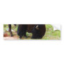 American Bison Painting Bumper Sticker