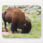 American Bison Painting Mouse Pad