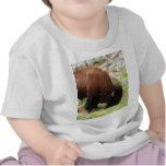 American Bison Painting Tee Shirts