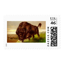 American Bison Postage Stamps