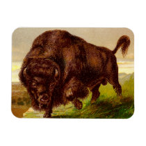 American Bison Vinyl Magnet
