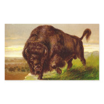 American Bison Rectangle Stickers