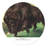 American Bison Stickers