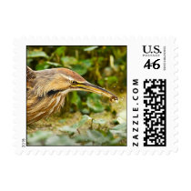 American Bittern and Crawfish Postage
