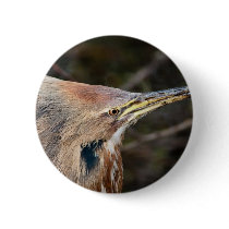 American Bittern Pinback Button