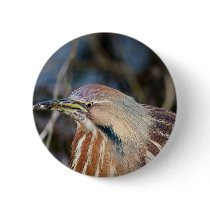 American Bittern Buttons
