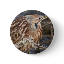 American Bittern Pinback Buttons