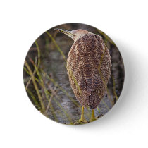 American Bittern Pin