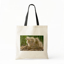 American Bittern chicks Canvas Bags