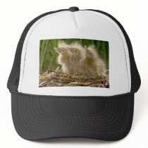 American Bittern chicks Trucker Hats