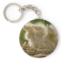 American Bittern chicks Keychains