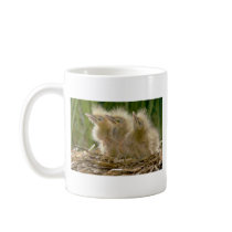 American Bittern chicks Mugs