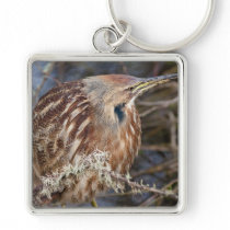 American Bittern Key Chain