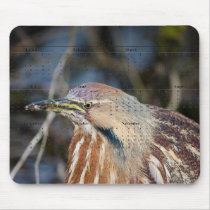 American Bittern Mousepads