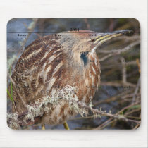 American Bittern Mouse Pad