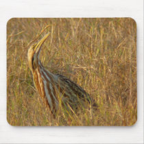 American Bittern Mousepad
