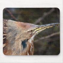 American Bittern Mouse Pad