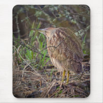 American Bittern Mousepad