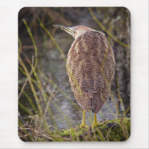 American Bittern Mouse Pads