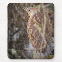 American Bittern Mouse Pads