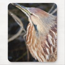 American Bittern Mousepads