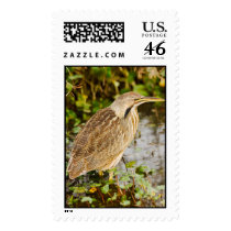 American Bittern - Stitched Image Postage Stamps