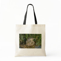 American Bittern with young Canvas Bags