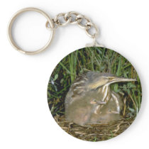 American Bittern with young Key Chains