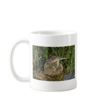 American Bittern with young Mugs