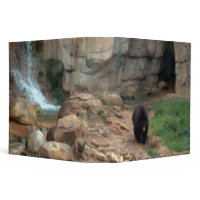 American Black Bear binder