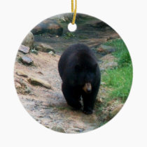 American Black Bear Ornament ornaments